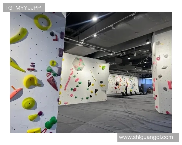 南京攀岩队的节奏与技巧探讨攀岩运动的魅力与挑战