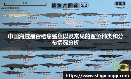 k1体育官方网站